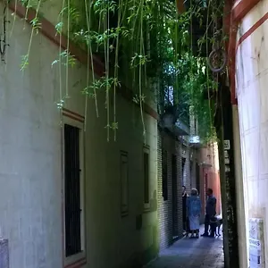 Calle 9 Séville